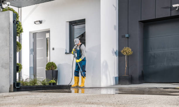 Best Solar Panel Cleaning  in Lovejoy, GA